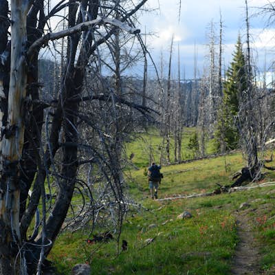 Backpack the Pasayten Wilderness via Iron Gate Trailhead