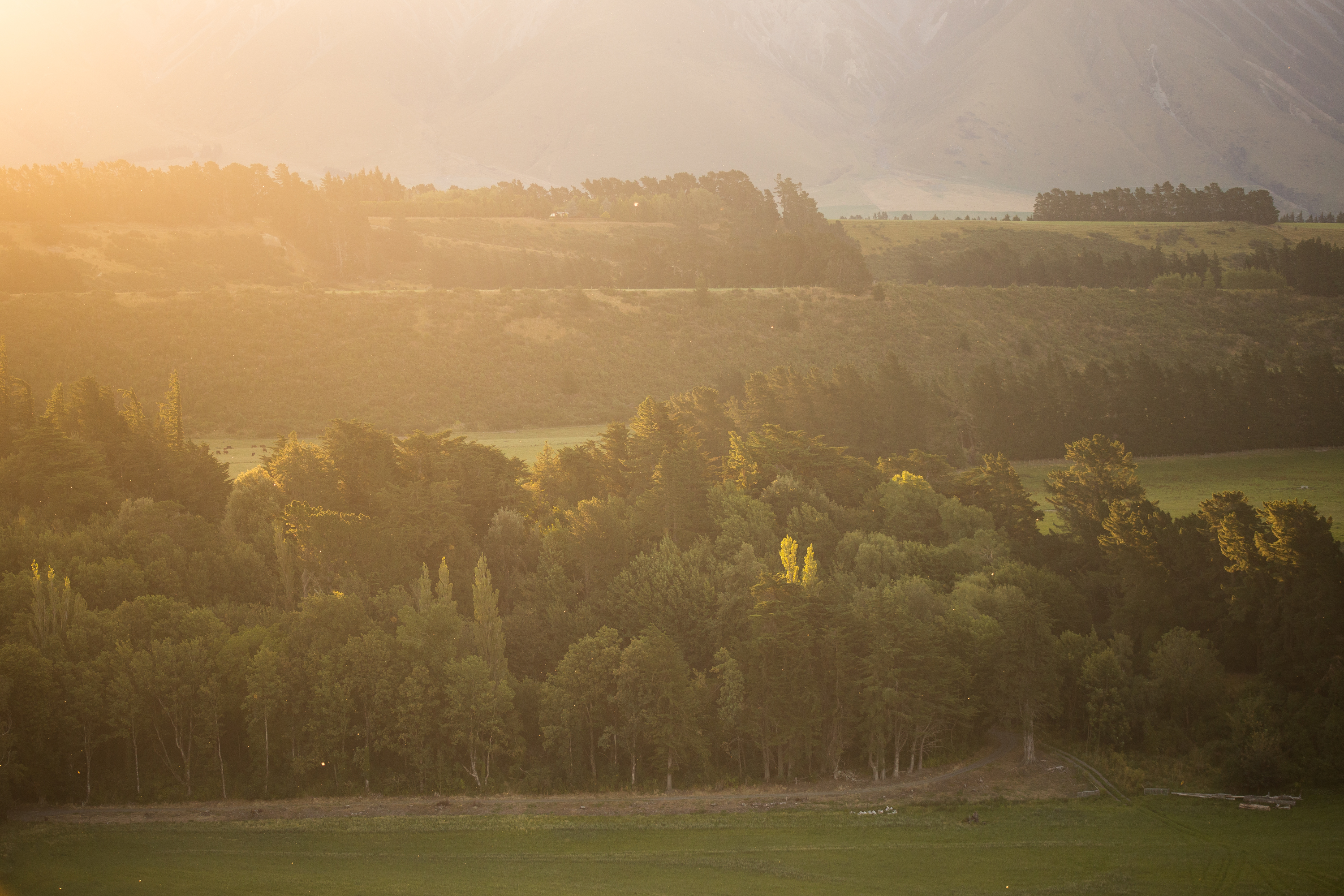 Hike the Rakaia Gorge Walkway