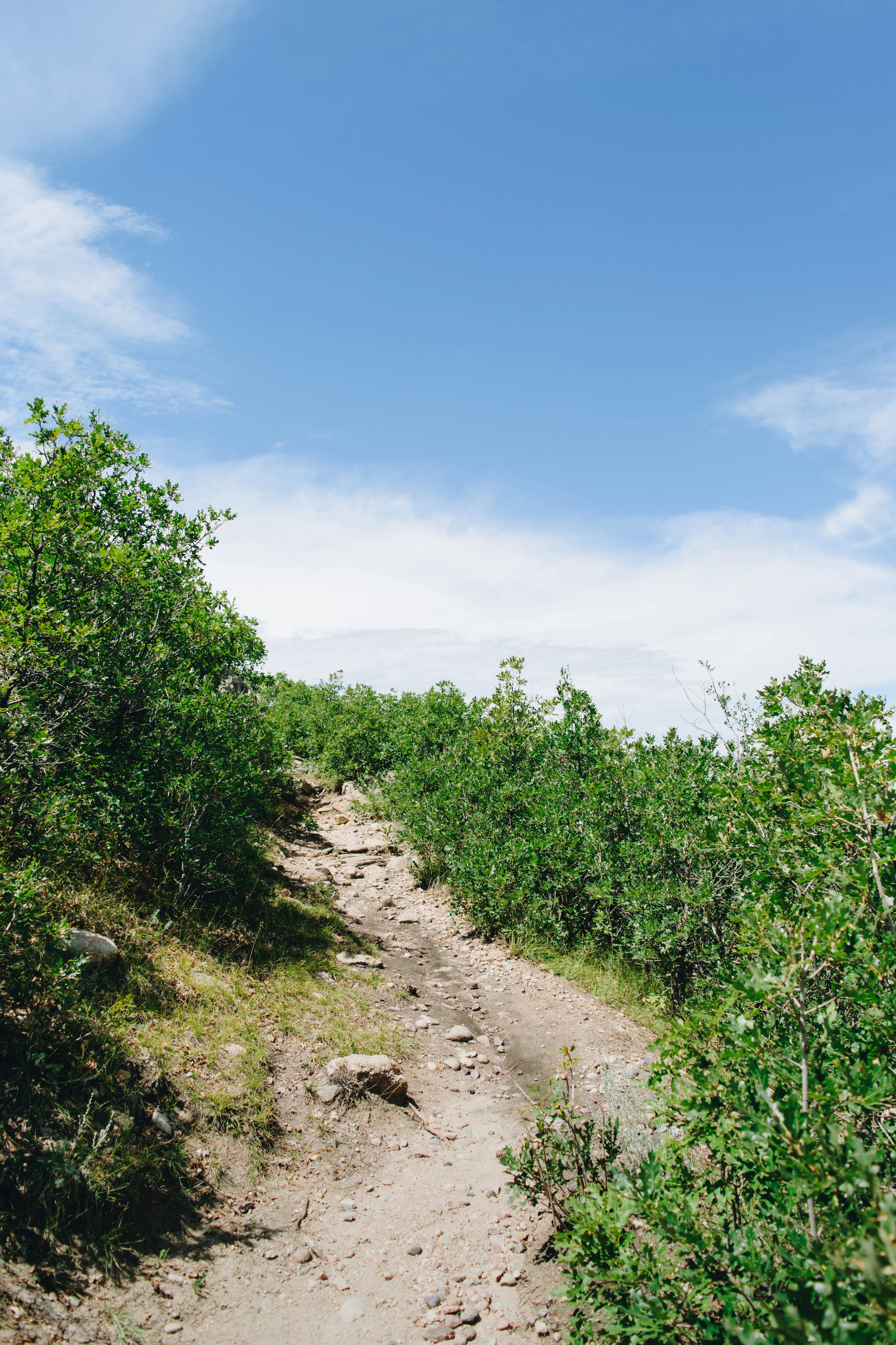Hike the Rim Rock Trail
