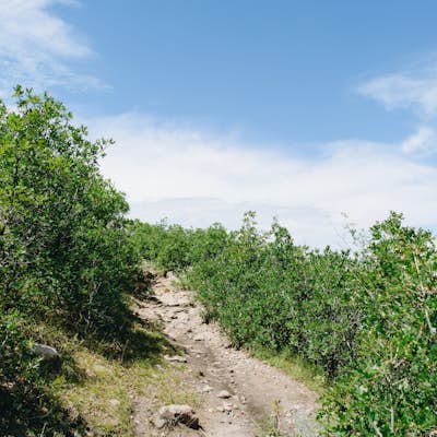 Hike the Rim Rock Trail