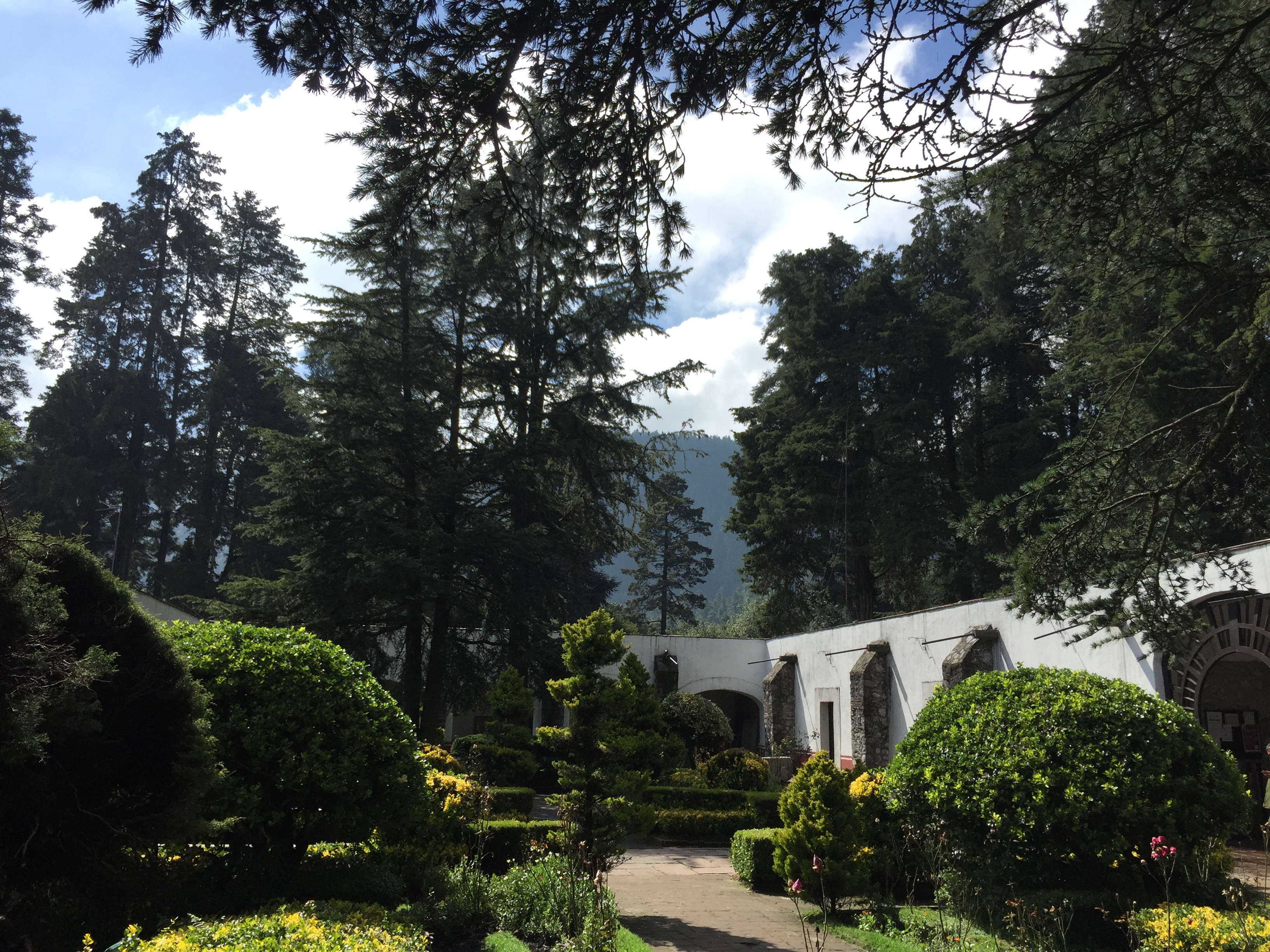 Explore Ex Convento de Los Leones