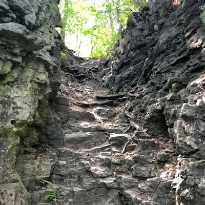 Hike the Walter Bean Grand River Trail (Section 1-2)