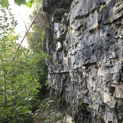 Hike the Walter Bean Grand River Trail (Section 1-2)