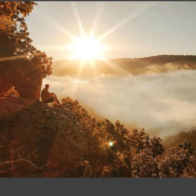 Whitaker Point: One Of The Best Hikes In Arkansas