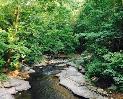Tanyard Creek Nature Trail 