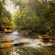 Tanyard Creek Nature Trail 