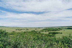 Hike the Rim Rock / Creek Bottom Trail Loop