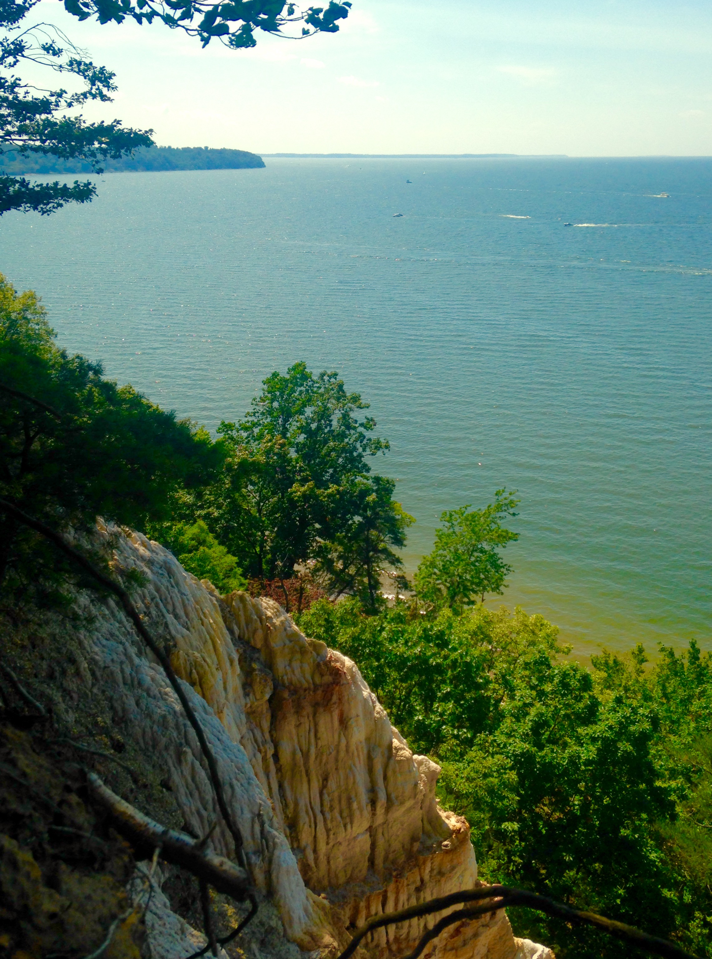Hike the White Banks Trail at Elk Neck SP