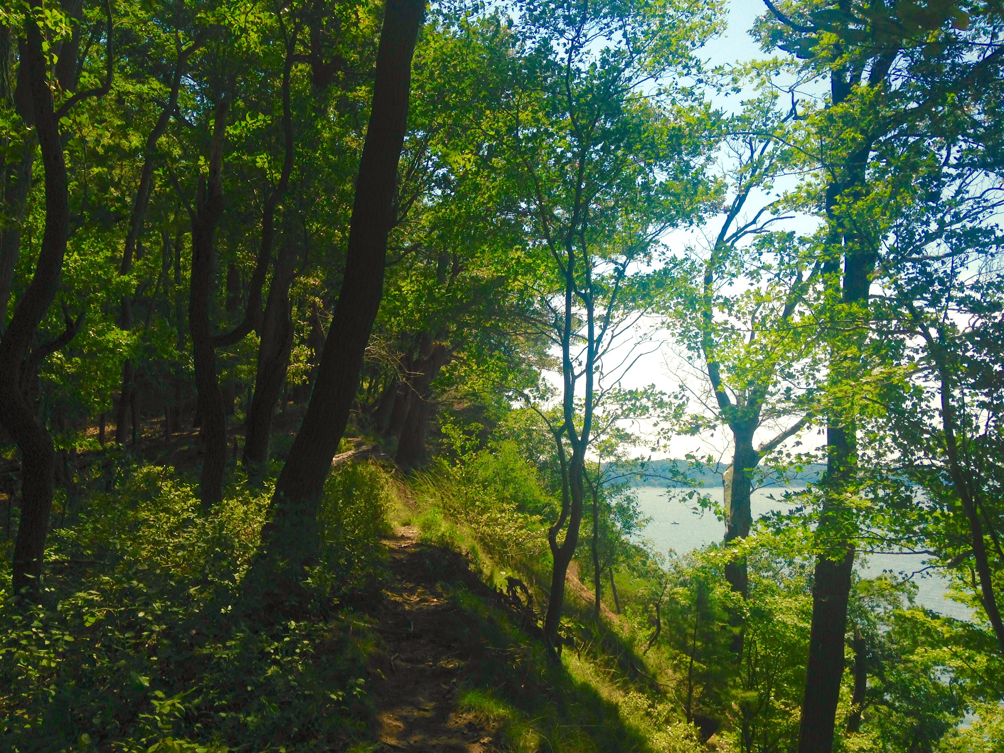 Hike the White Banks Trail at Elk Neck SP