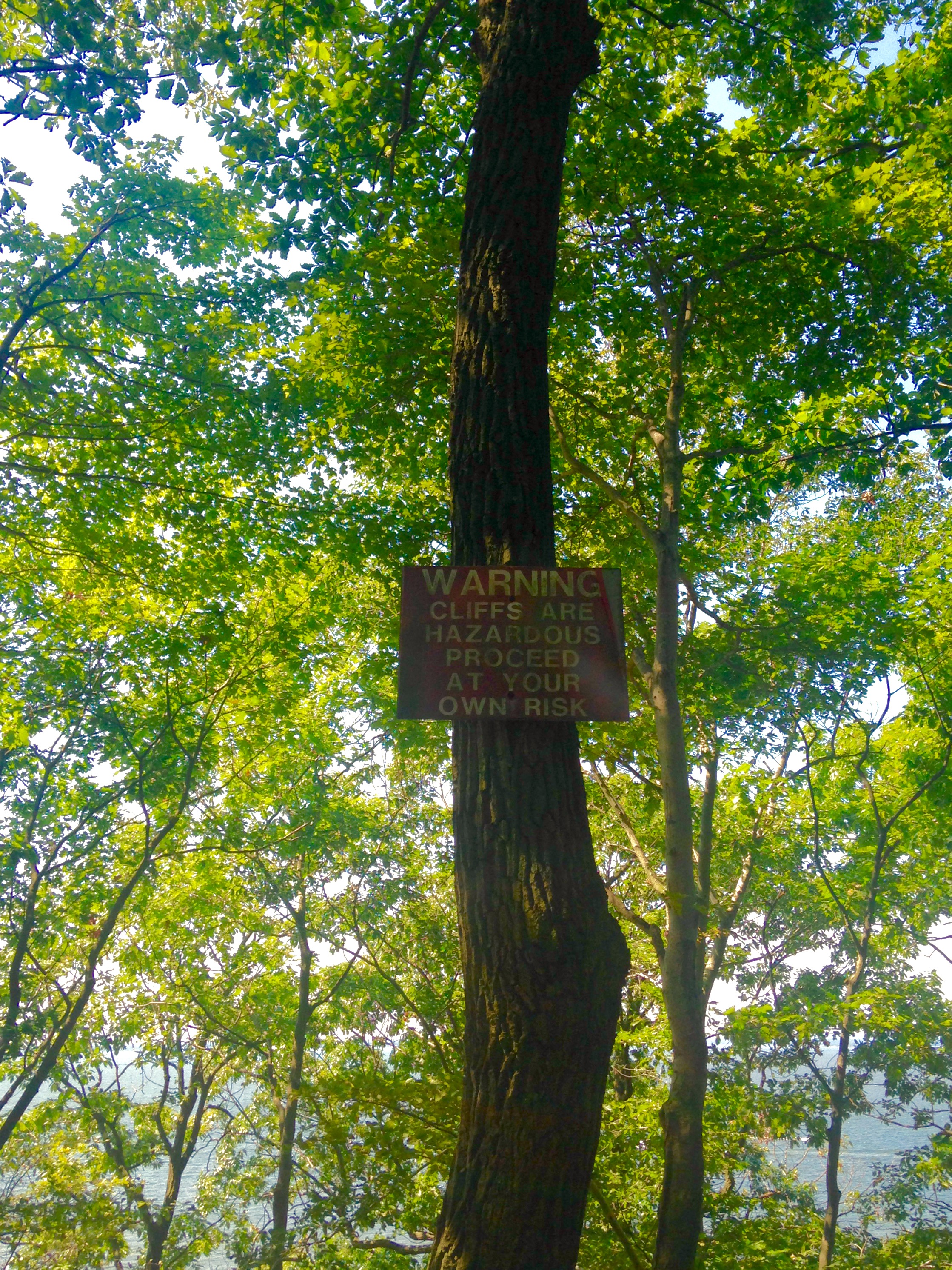 Hike the White Banks Trail at Elk Neck SP