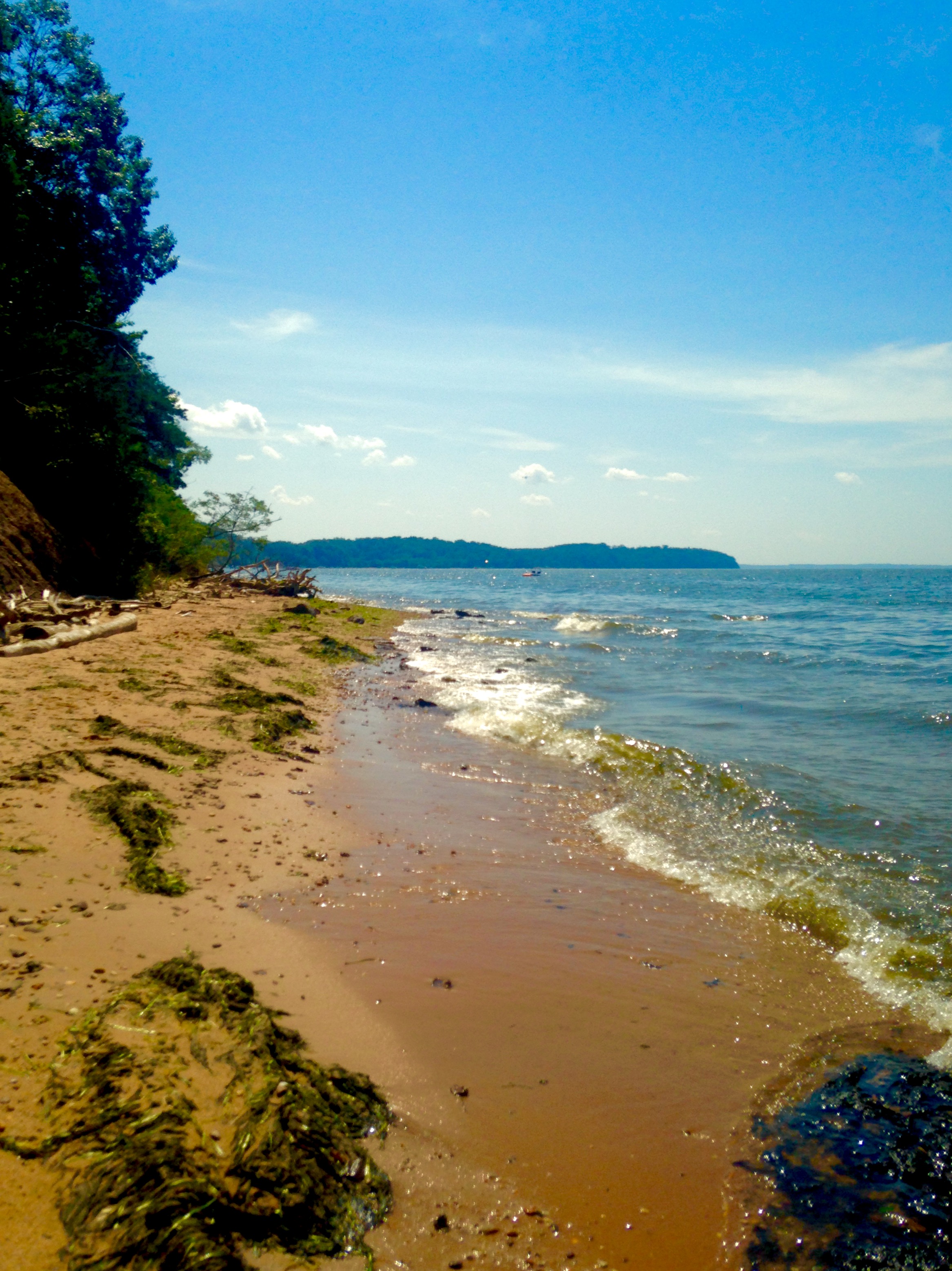 Hike the White Banks Trail at Elk Neck SP