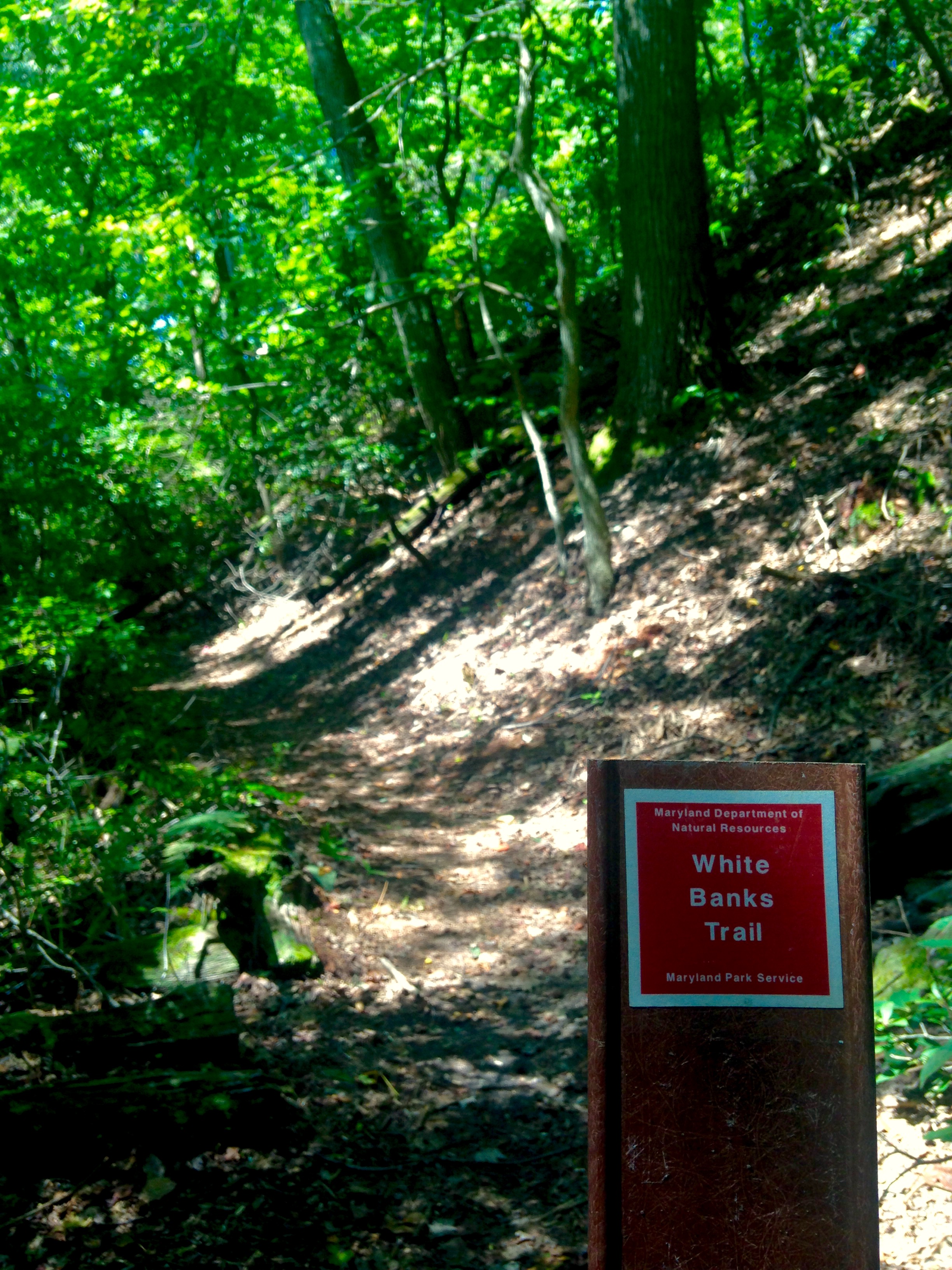 Hike the White Banks Trail at Elk Neck SP