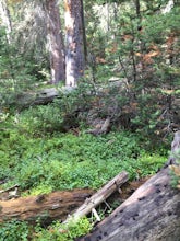 Hike to Comanche Lake in Pingree Park