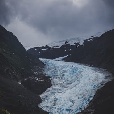 Photograph Bear Glacier