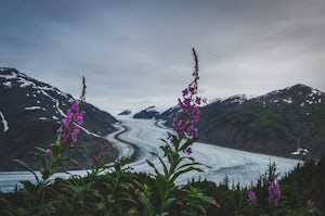 Photograph Salmon Glacier