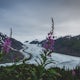 Photograph Salmon Glacier