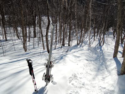 Ski Touring the Pemigewasset Wilderness Traverse