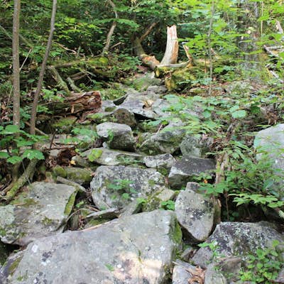 Hike the Rock Jock Trail 