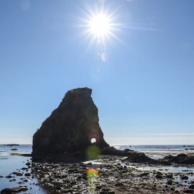 Backpacking on the Ozette Loop