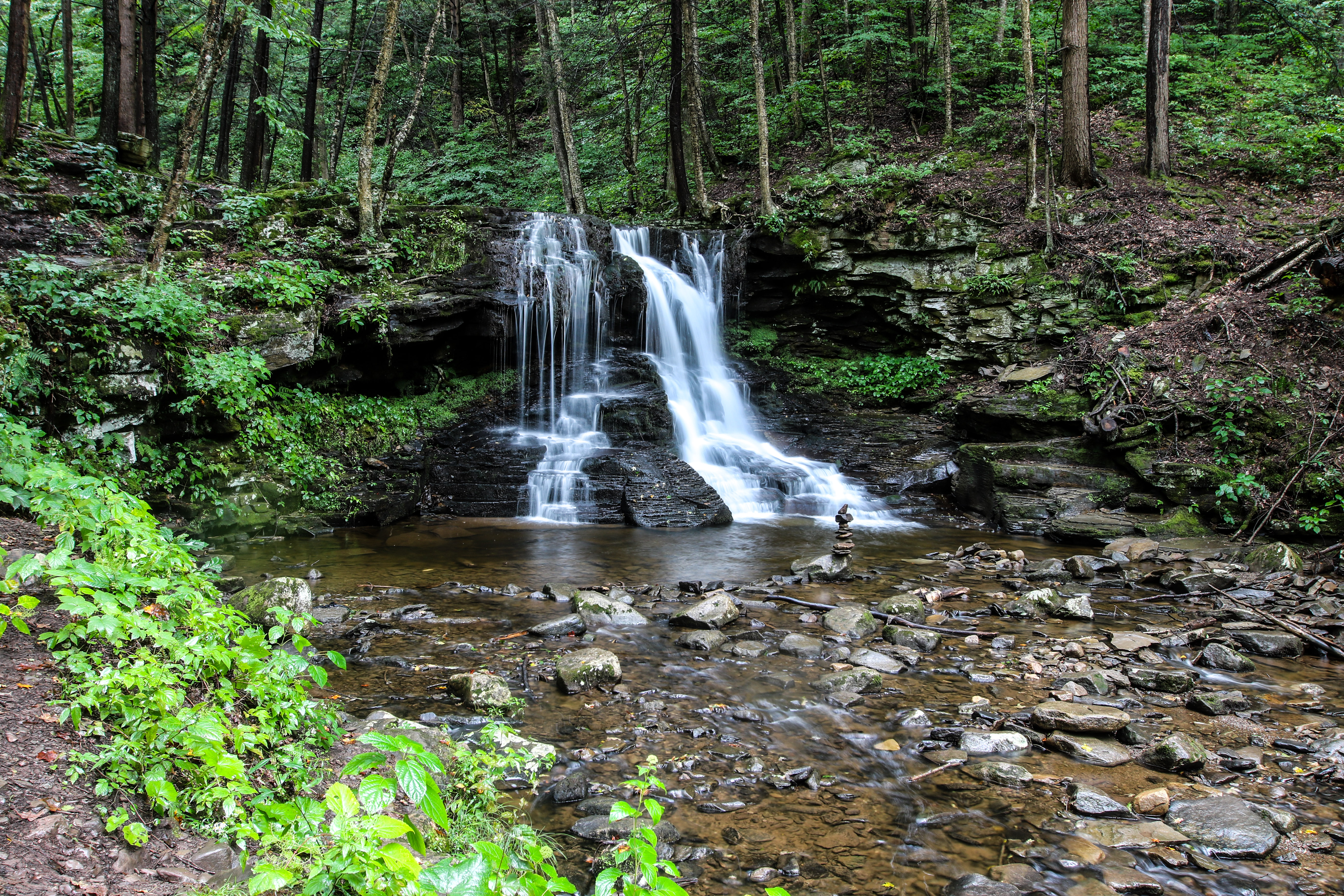 Dry Run Falls in the Loyalsock State Forest