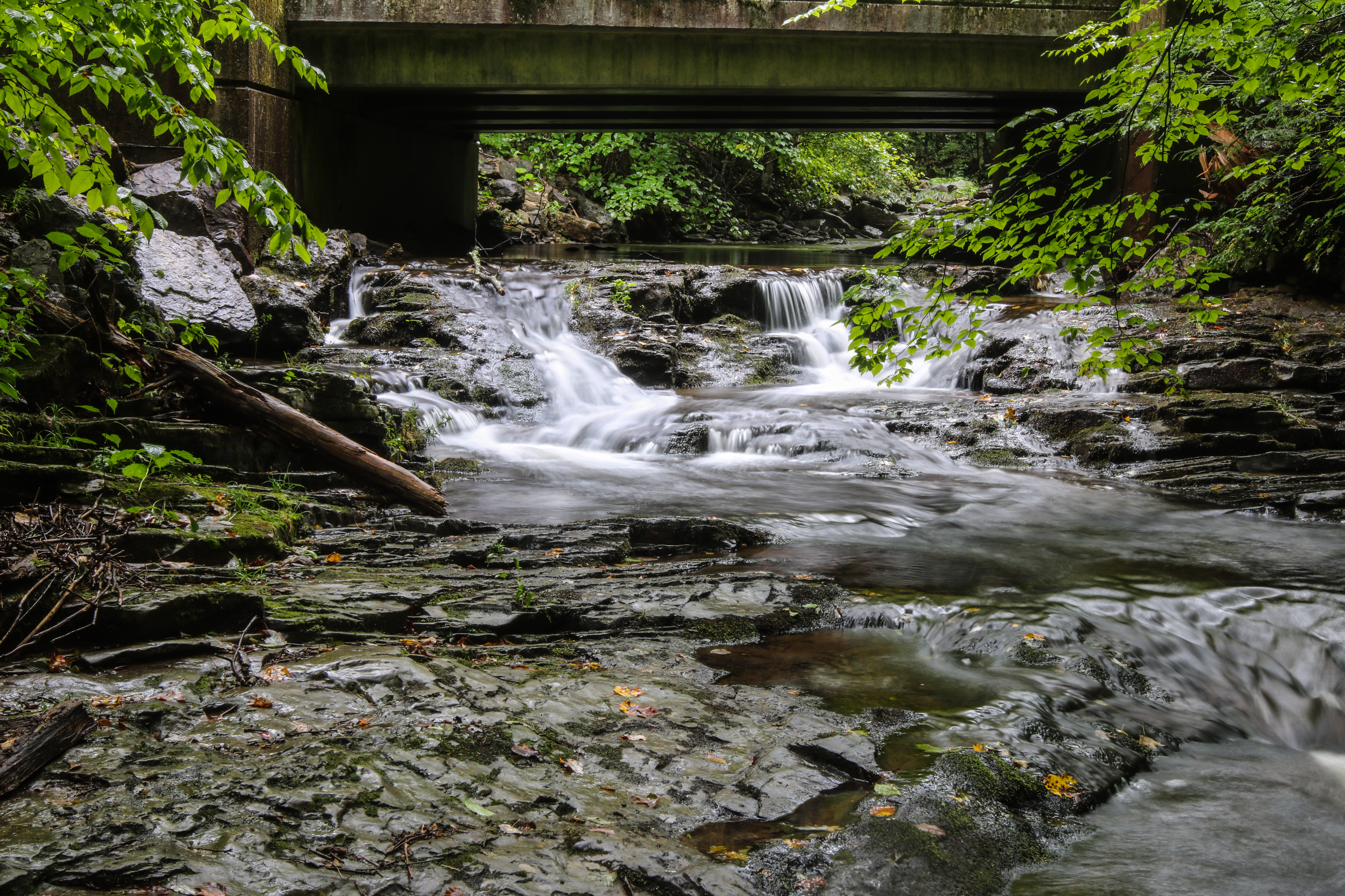 Dry Run Falls in the Loyalsock State Forest