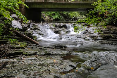 Dry Run Falls in the Loyalsock State Forest