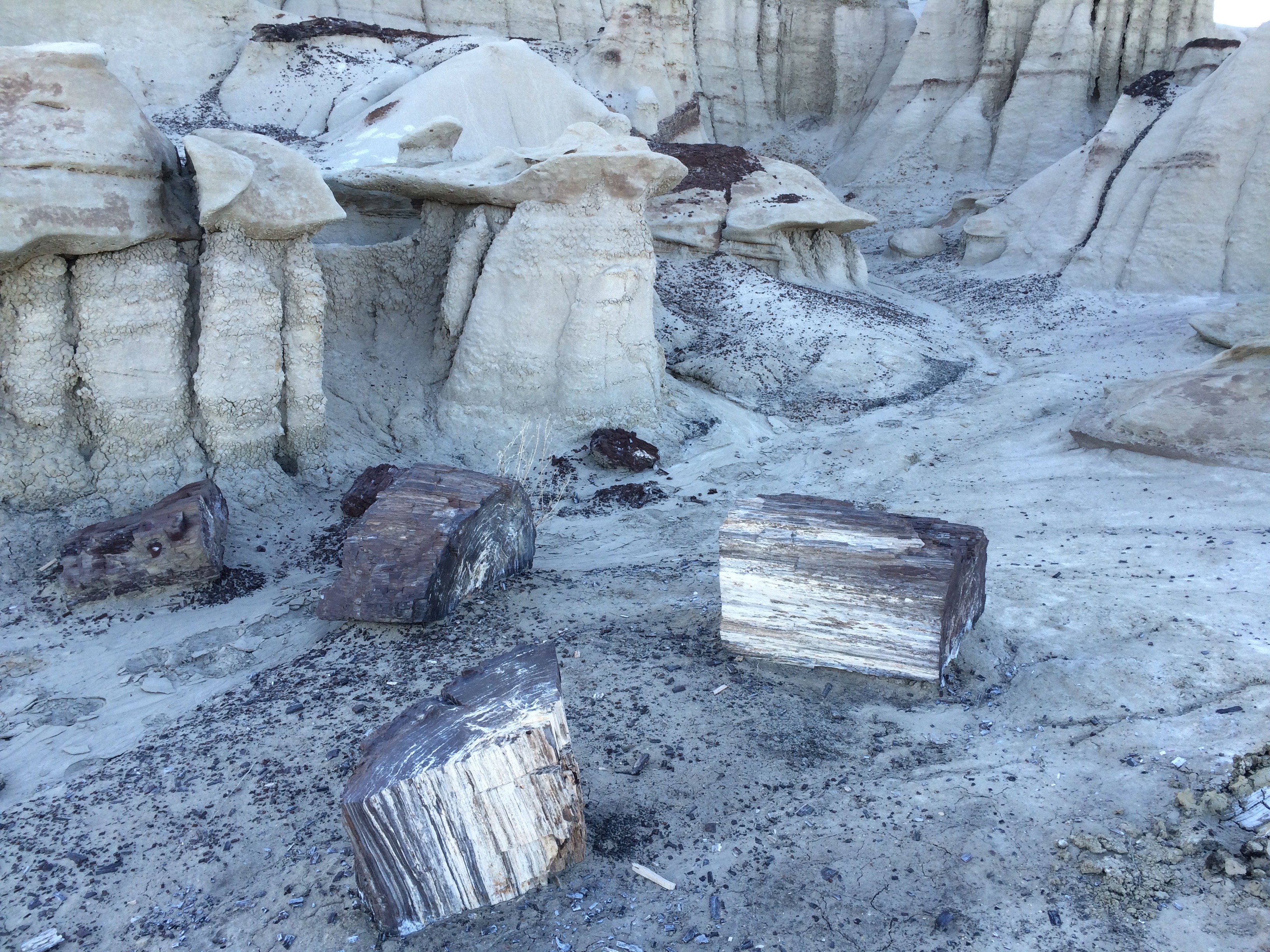 Camp in the Bisti Badlands