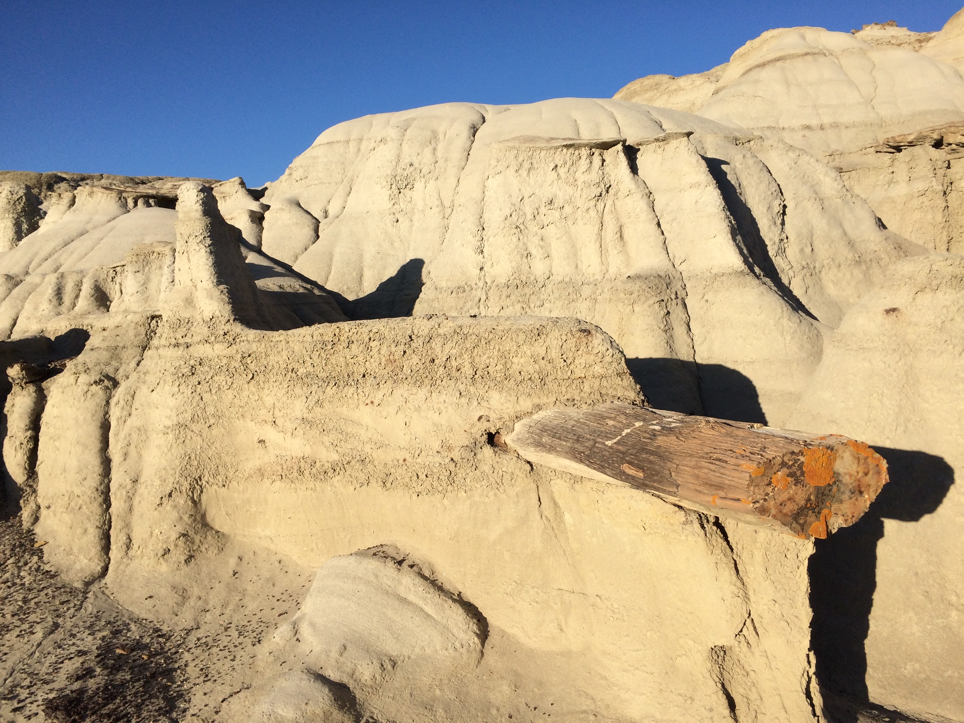 Camp in the Bisti Badlands