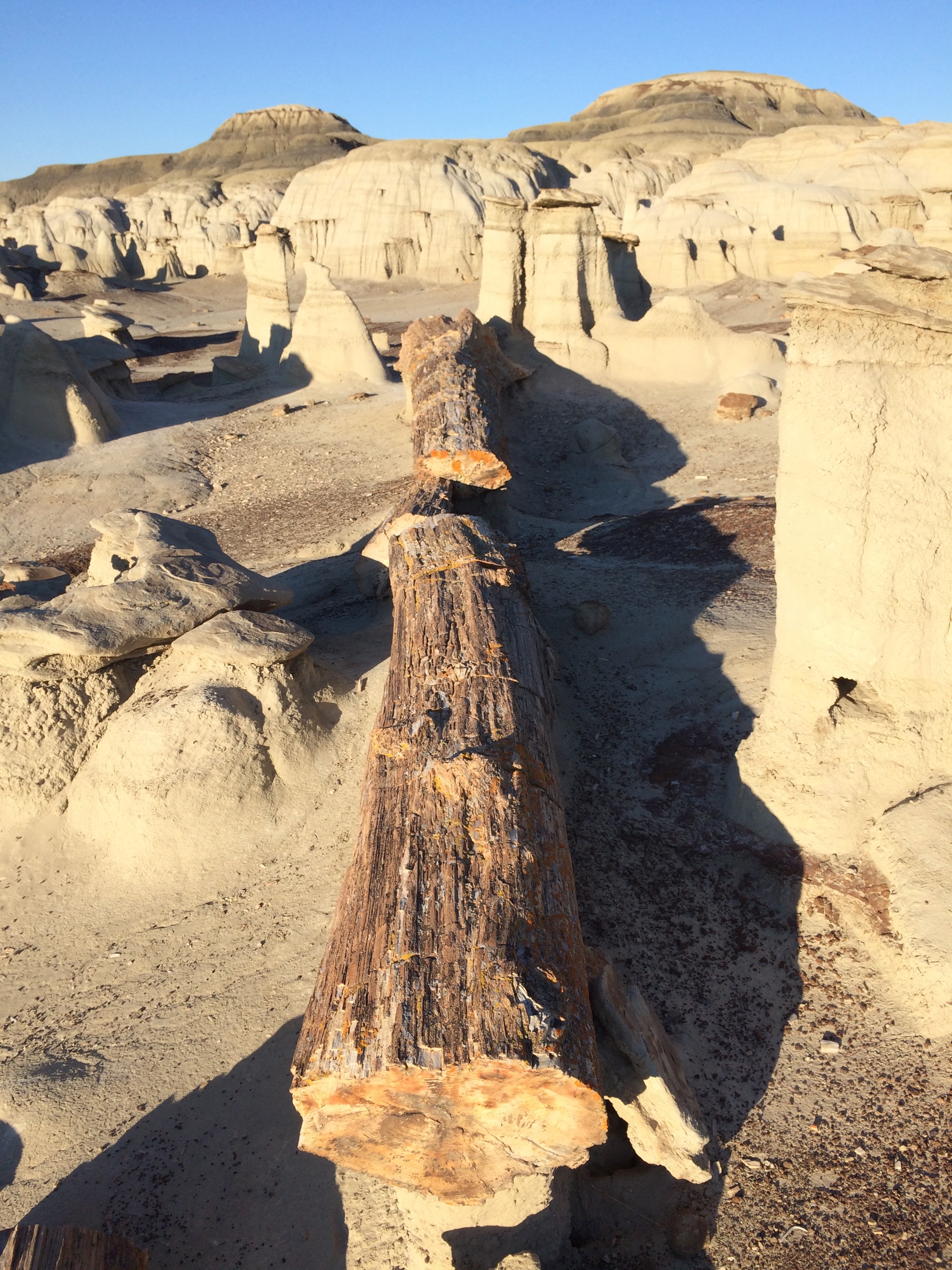 Camp in the Bisti Badlands