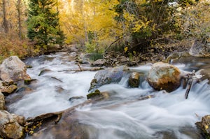 8 Fall Photos to Get You Pumped for Autumn