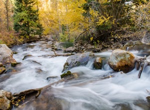 8 Fall Photos to Get You Pumped for Autumn