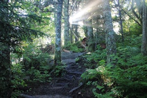 Backpack the Black Mountain Crest Trail
