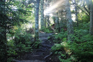 Backpack the Black Mountain Crest Trail