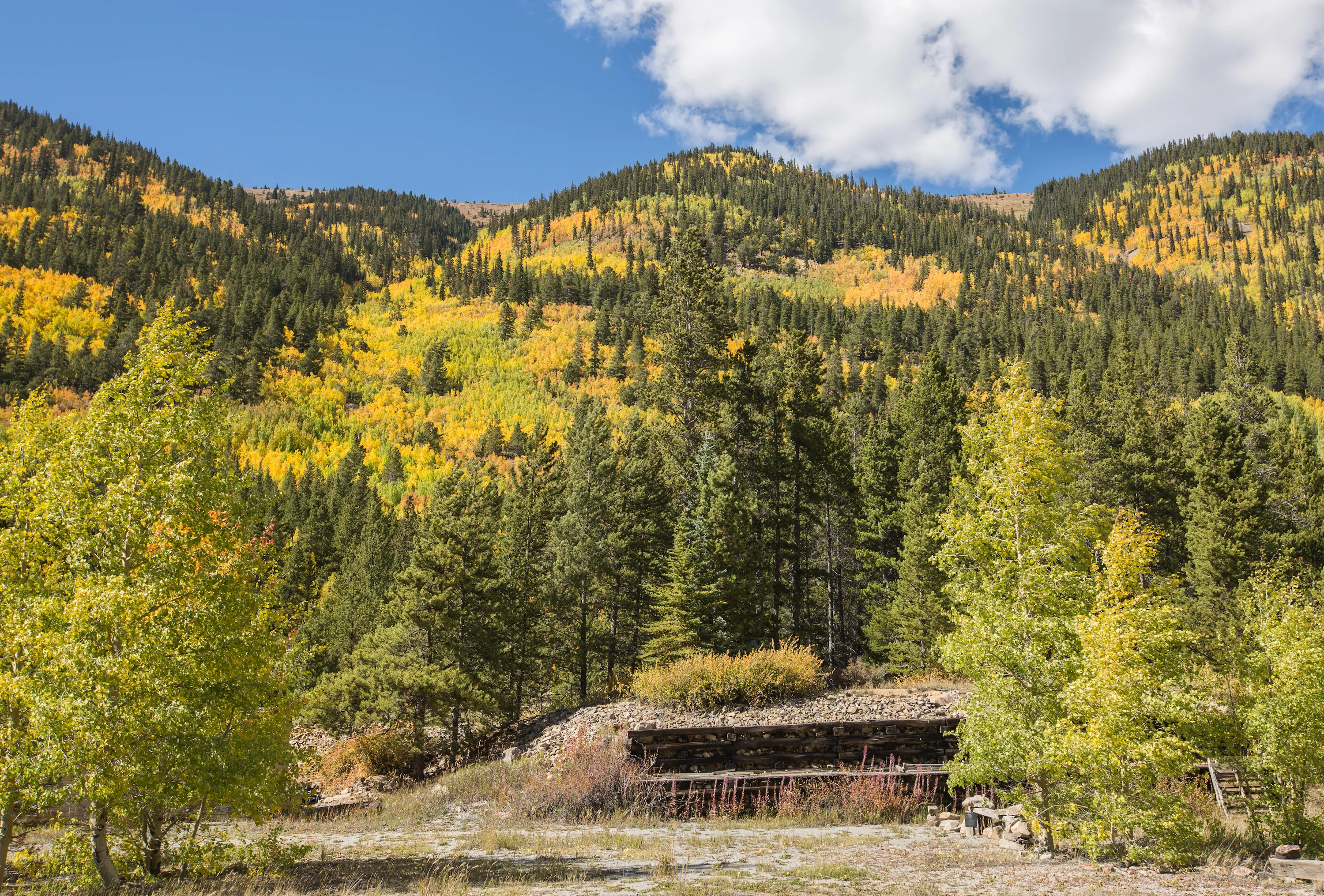 Photograph Fall Colors Along Independence Pass and Twin Lakes, CO