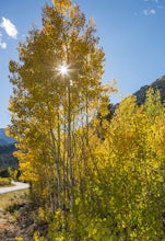 Photograph Fall Colors Along Independence Pass and Twin Lakes, CO