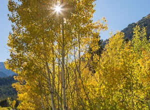Photograph Fall Colors Along Independence Pass and Twin Lakes, CO