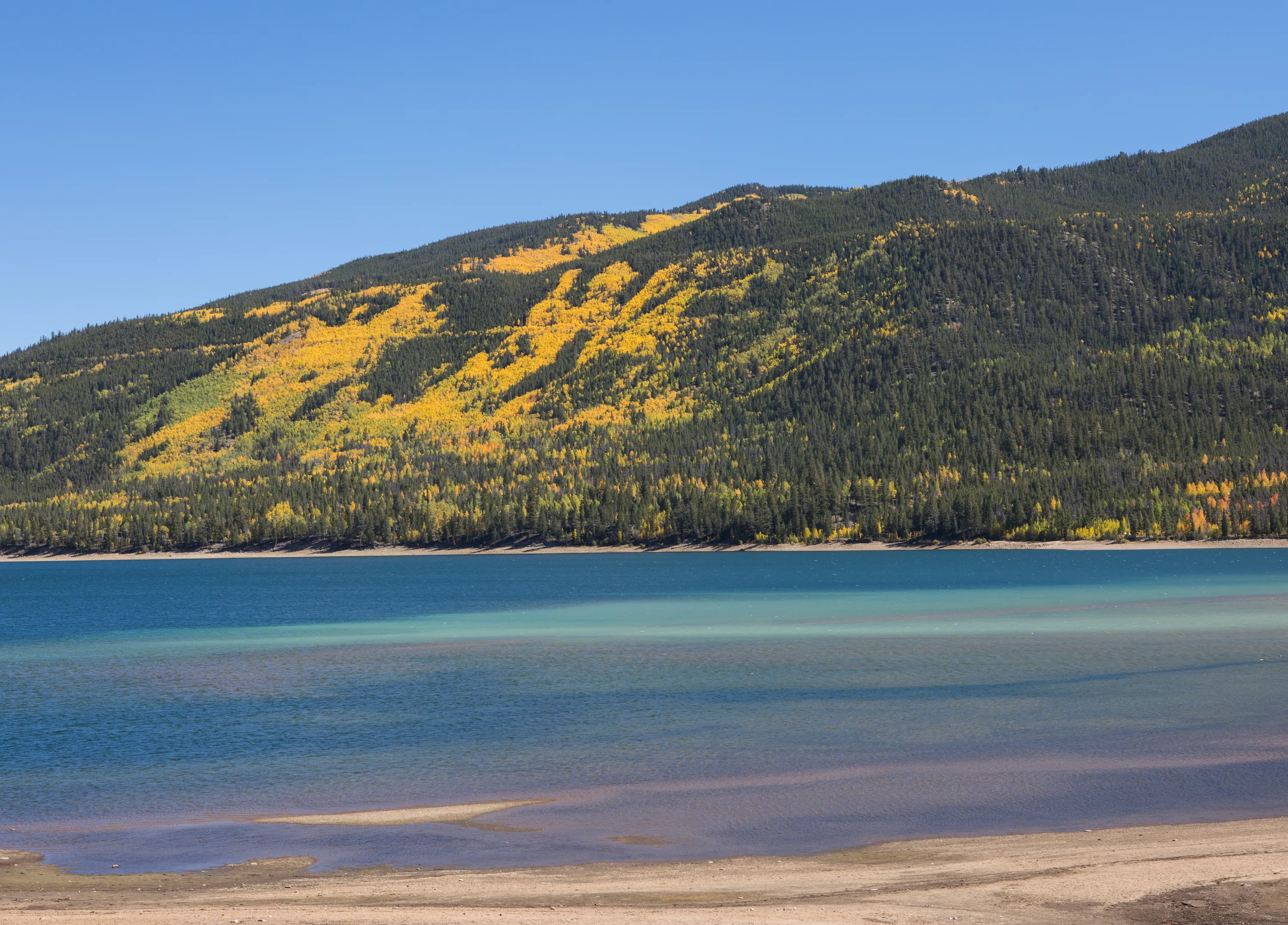 Photograph Fall Colors Along Independence Pass and Twin Lakes, CO
