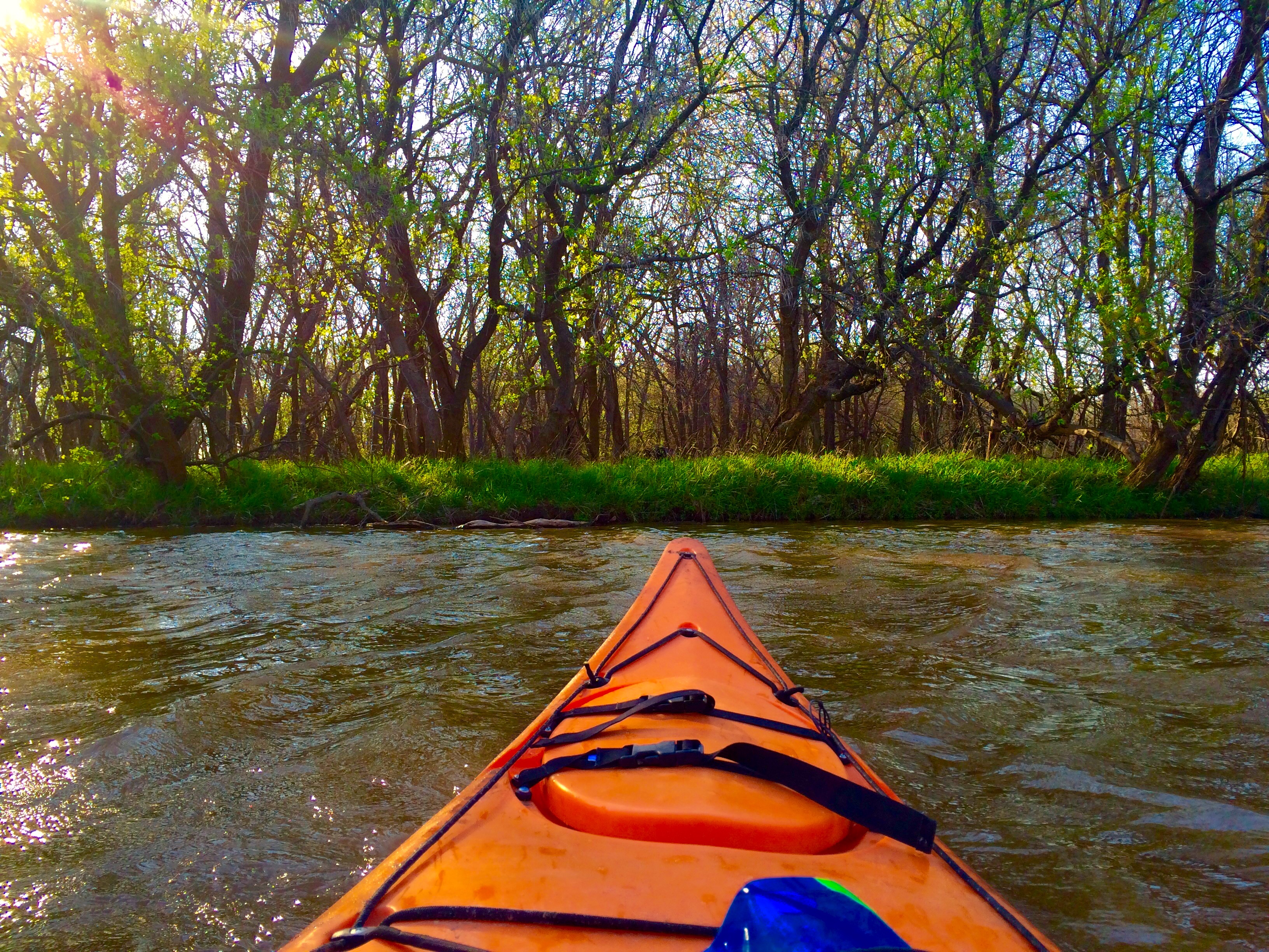 Kayak the Stinchcomb Wildlife Refuge