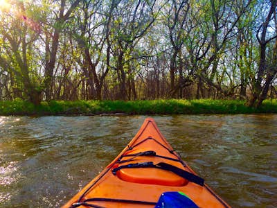Kayak the Stinchcomb Wildlife Refuge