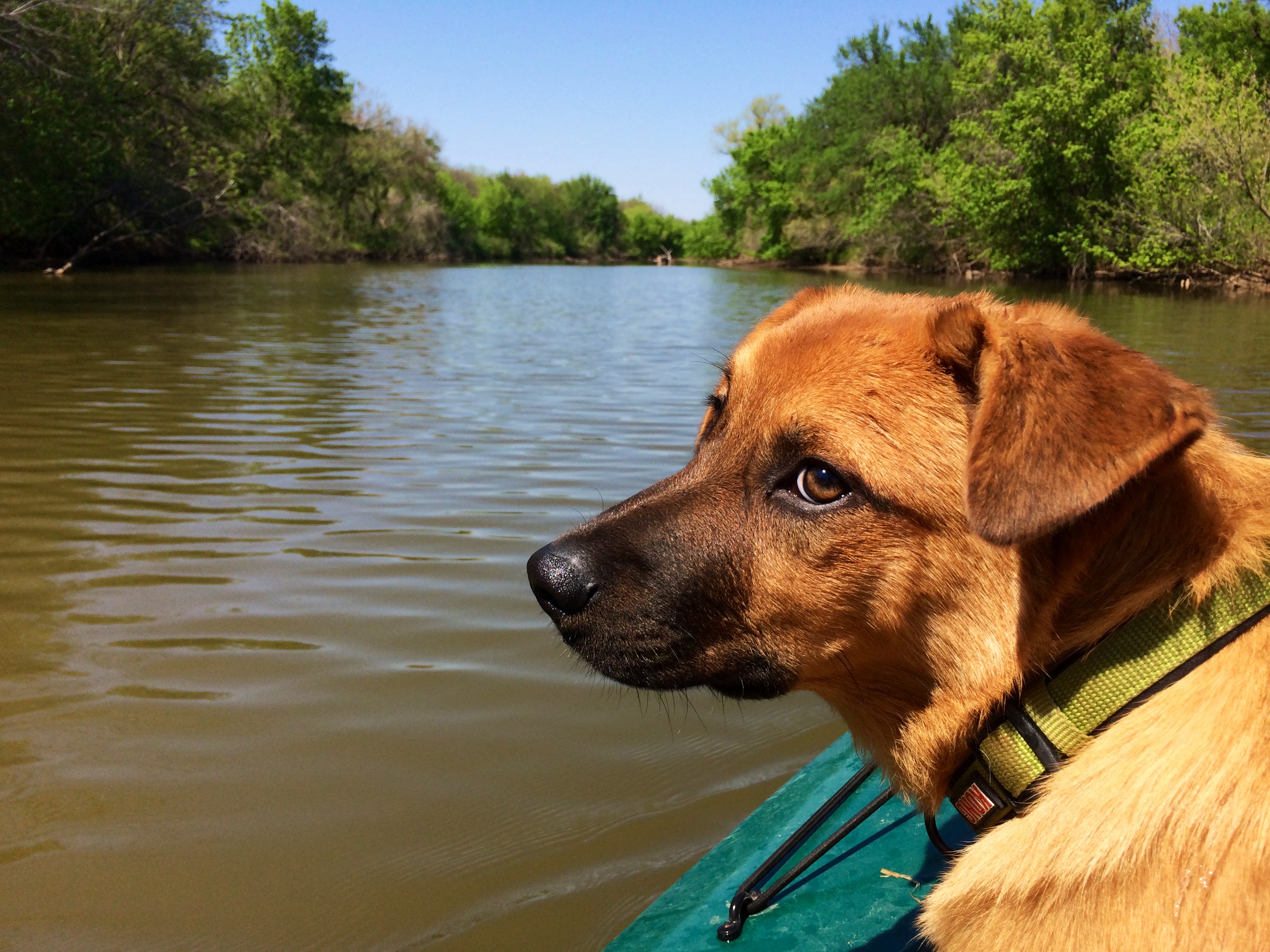 Kayak the Stinchcomb Wildlife Refuge