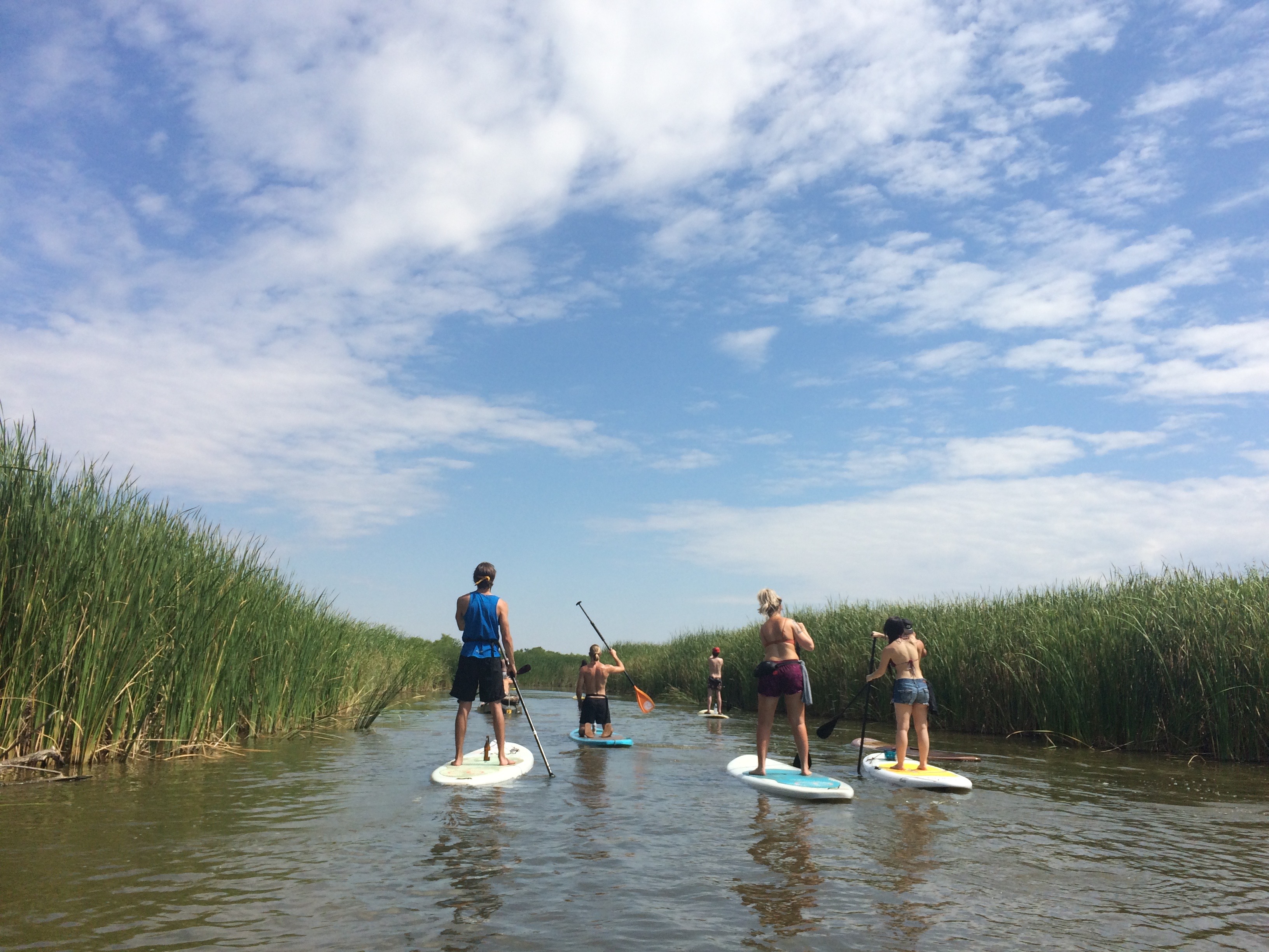 Kayak the Stinchcomb Wildlife Refuge