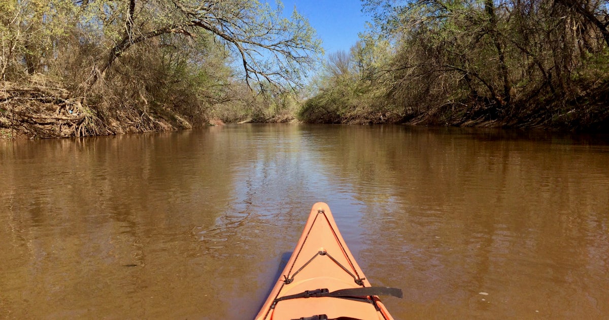 Riveraholic Creek/Large Kayak Hand Paddles 