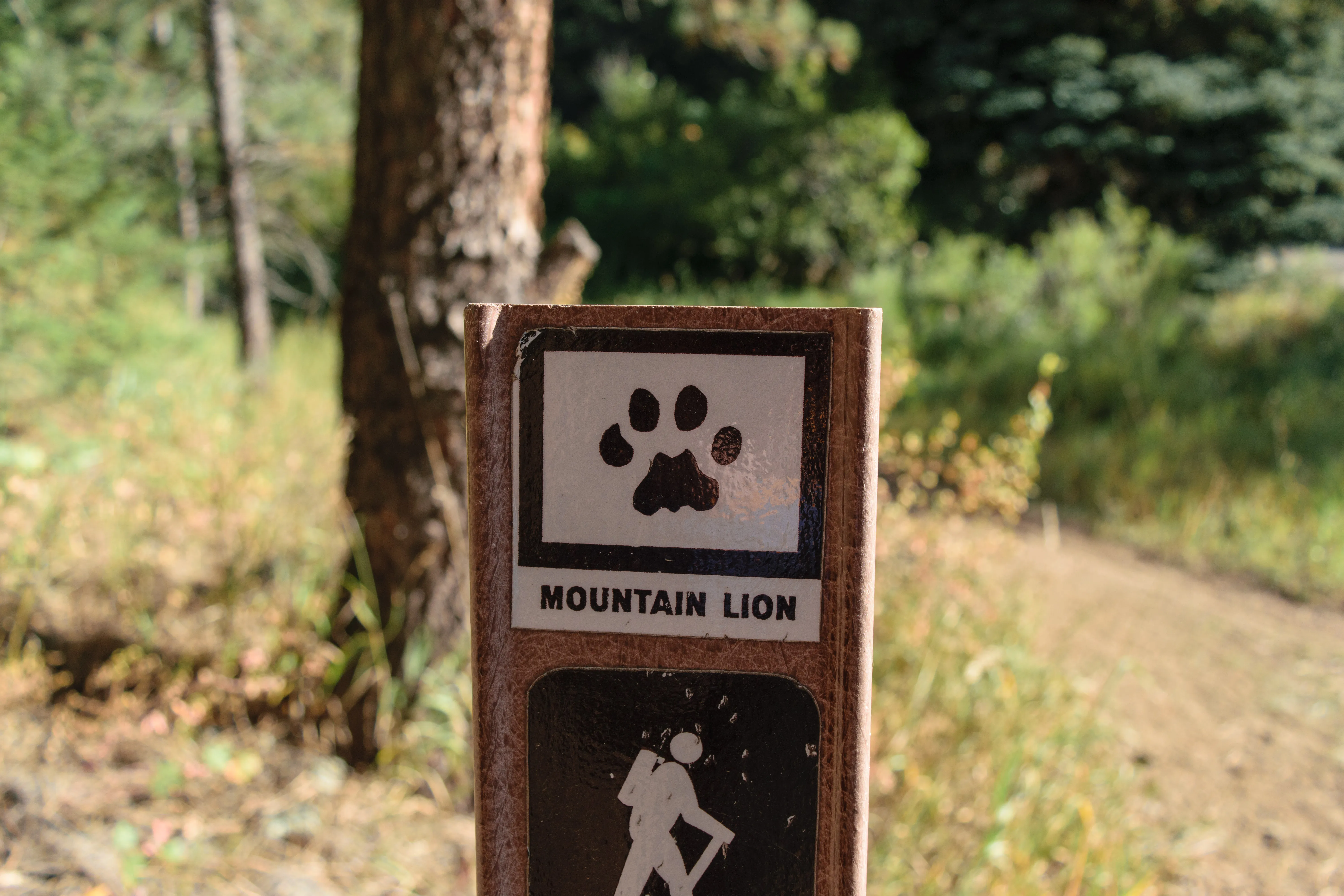 Hike the Mountain Lion Trail