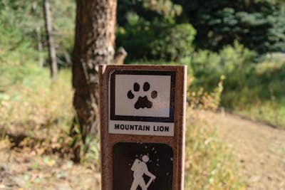 Hike the Mountain Lion Trail