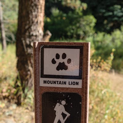 Hike the Mountain Lion Trail
