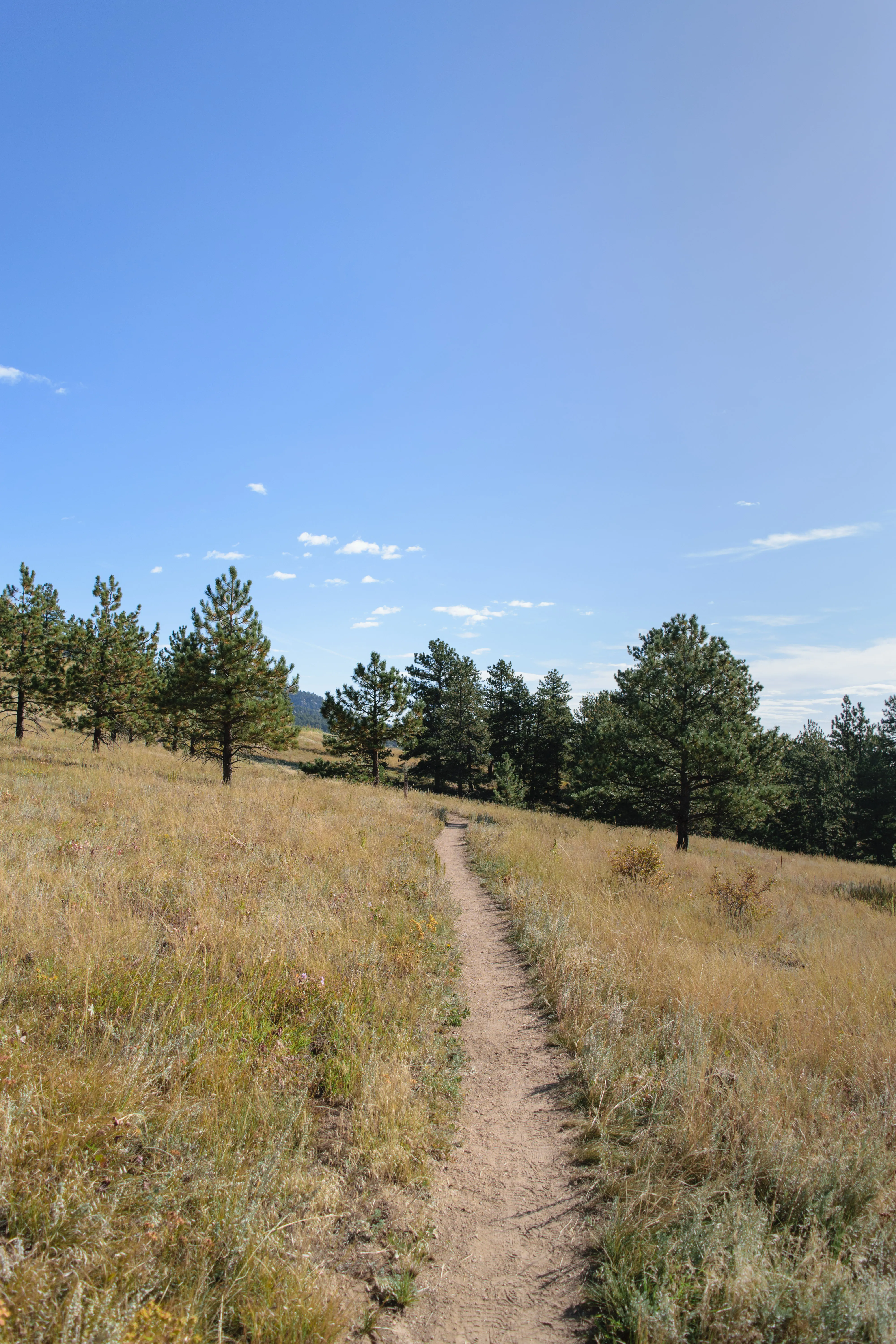 Hike the Mountain Lion Trail