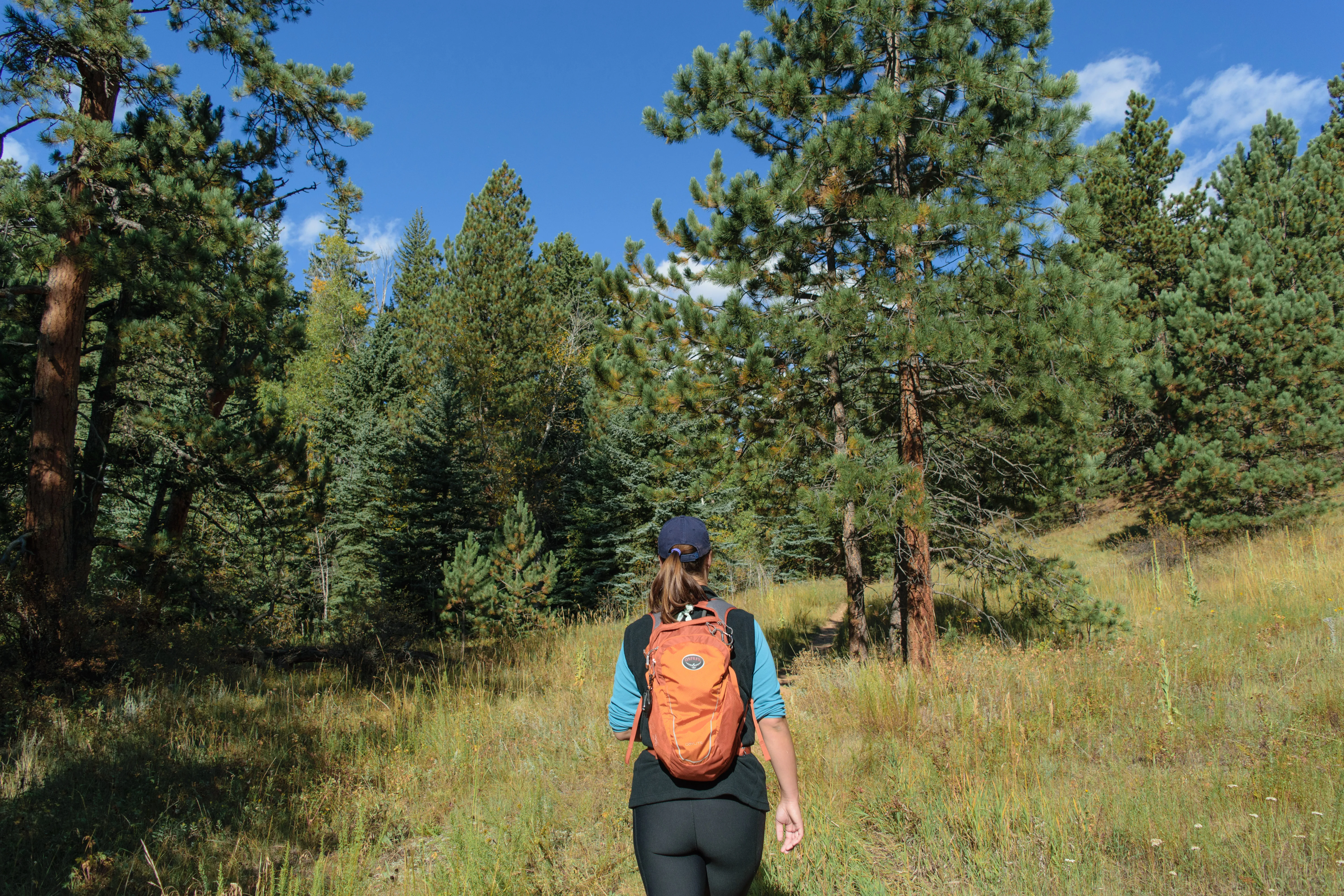 Hike the Mountain Lion Trail