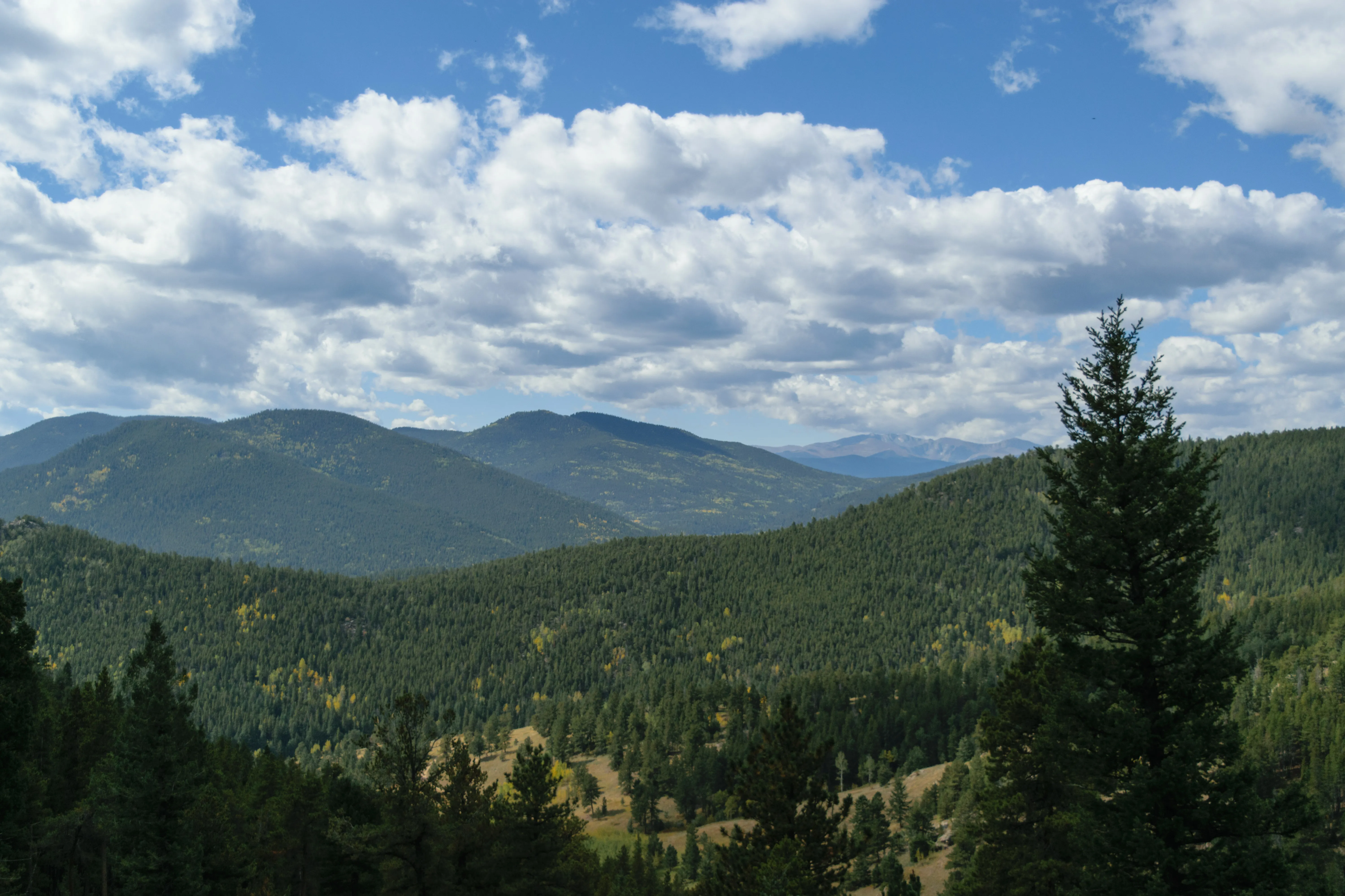 Hike the Mountain Lion Trail