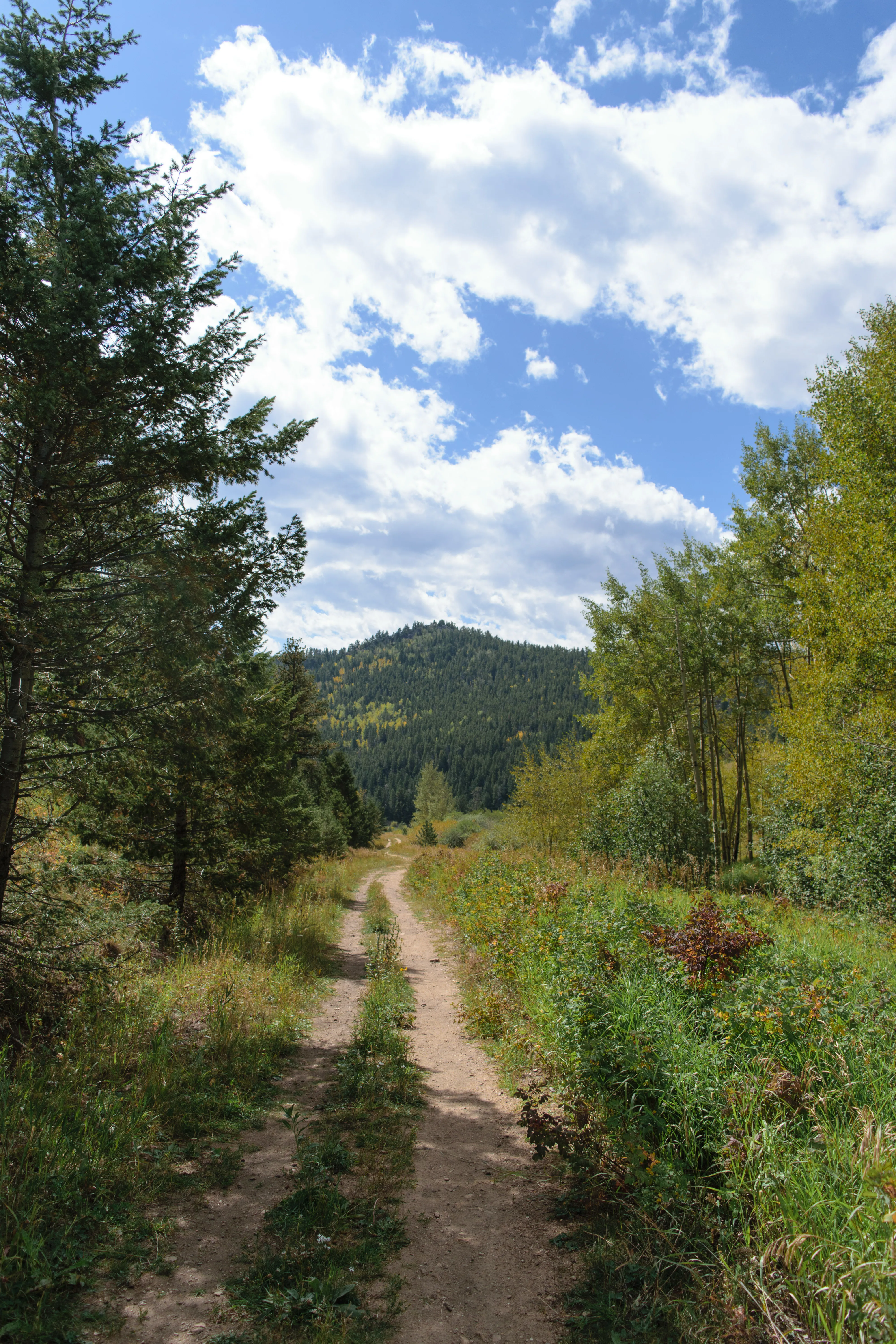 Hike the Mountain Lion Trail