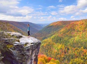 The Best Areas on the East Coast for Fall Hiking